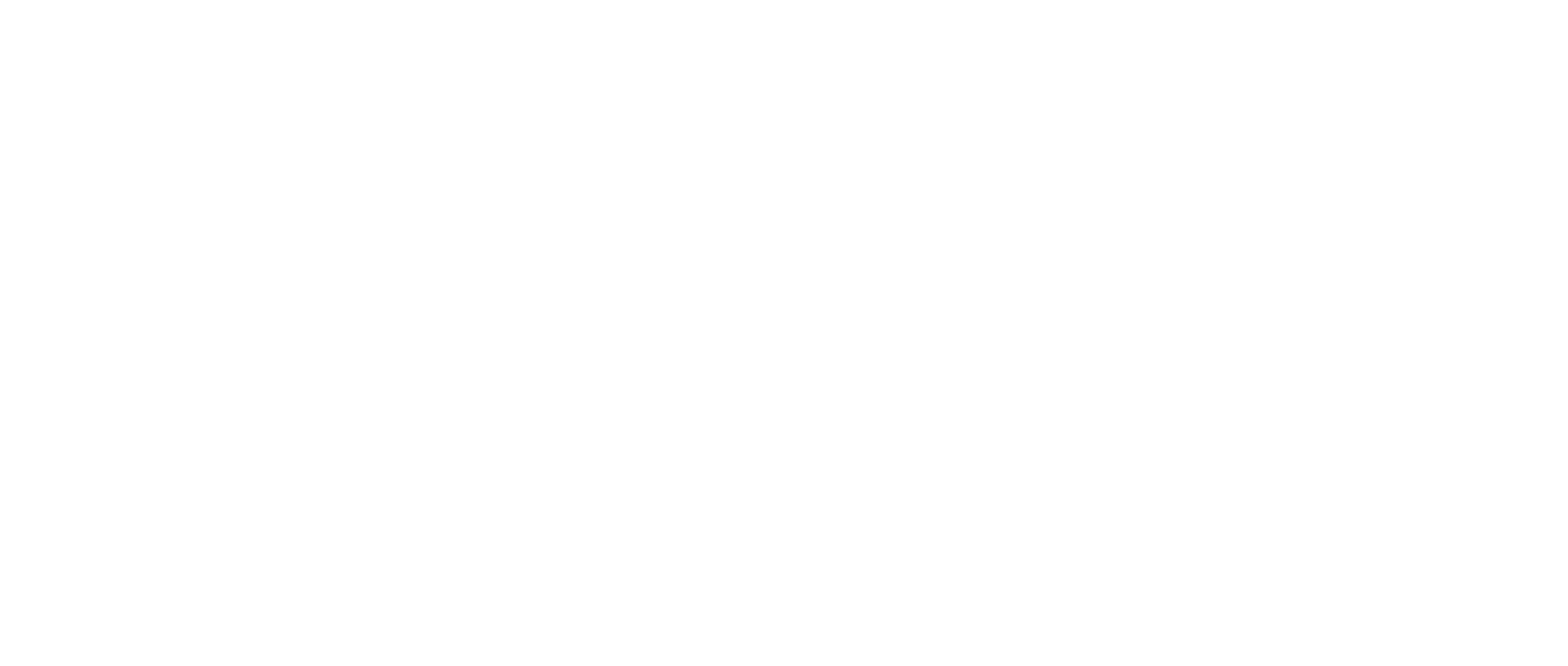 ews-logo-white